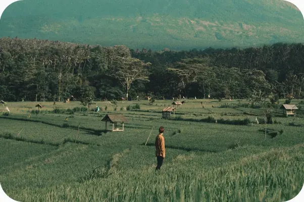 Lingkungan & Kualitas Hidup
